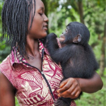 Бонобо ведут себя по-детски