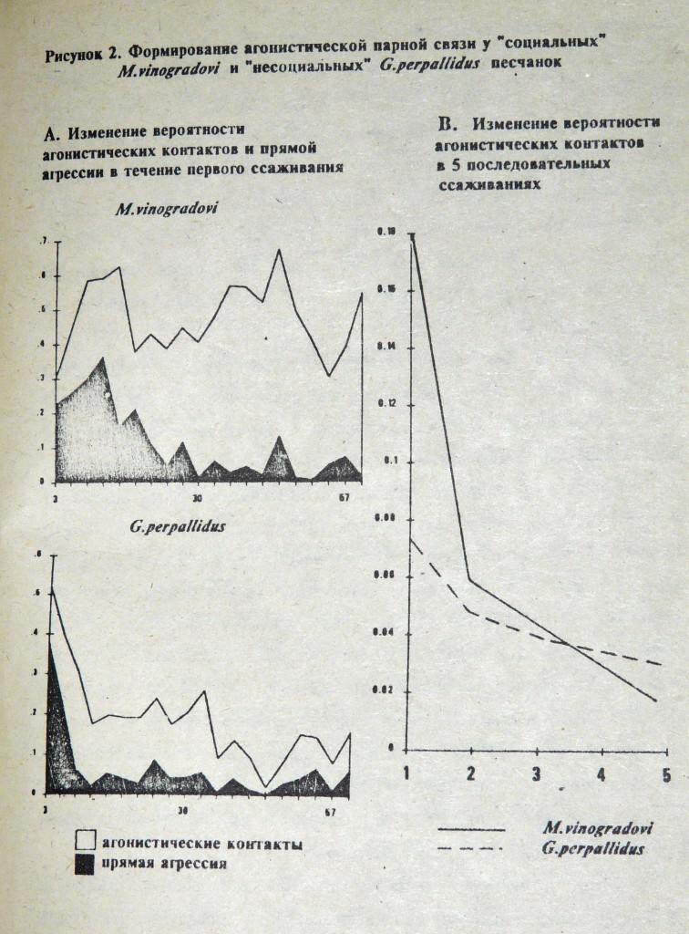 Мурашки4