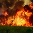 Аномально ранняя весна 2014 года чревата масштабными пожарами. В этом сошлись как природоохранные организации, тот же Greenpeace, так и чиновники Минприроды (Рослесхоз), МЧС и др...