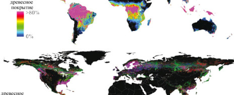 Анализ глобальных данных спутниковых съемок за 12 лет позволил обрисовать динамику изменения площади лесных массивов в мире. В итоговой сумме деградации и прироста первая ...