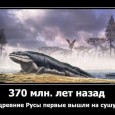 В последнее десятилетие под популярным соусом патриотизма, плавно переходящего в шовинизм и национализм, активно продвигаются на российский книжный и информационный рынок издания, фильмы и Интернет-ресурсы псевдоисторического толка. Они подаются...