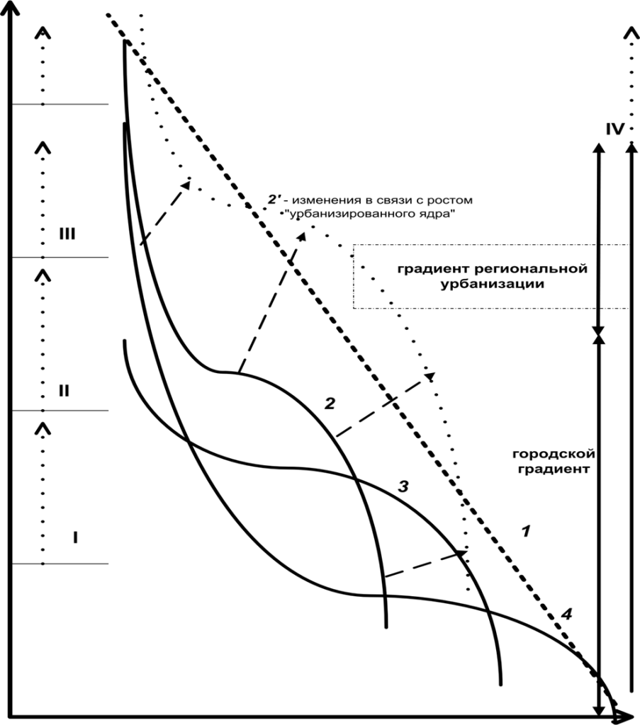 Рисунок 1. Городской градиент: падение степени урбанизации территории (1) и степени изменённости городом природных ландшафтов, представляющих собой естественные местообитания вида (2-4) от центра города (I) к его границе (II) и далее к периферии зоны влияния города, III. IV – радиус центральной агломерации и потенции его изменения в процессе роста урбанизированного «ядра» (штрих-пунктирные стрелки). Пунктирная стрелка – вектор изменений урбосреды в процессе городского развития