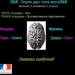 Как нейрофизиологические исследования и их освещение в прессе способствуют укреплению гендерного неравенства