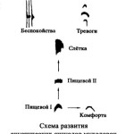 Онтогенез акустических сигналов  выводковых и птенцовых птиц:  эволюционные аспекты