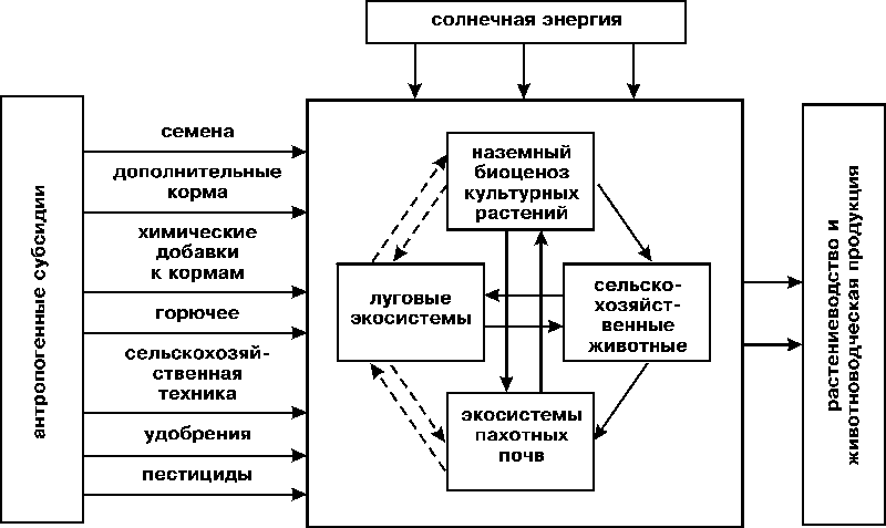 Рис.1. Схема функционирования "компромиссной" агроэкосистемы (штриховыми линиями показаны слабые взаимосвязи).