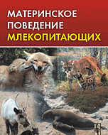 Приматы предсказуемо отличаются от других млекопитающих тем, что  у них второе сильнее первого (ну и в филогенетическом ряду, ведущем к человеку, та же...