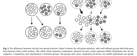 Идея группового отбора – лишняя сущность при объяснении как происхождения групповых адаптаций, так и их сохранения в череде поколений. Для первого оказывается достаточно индивидуального отбора, как только мы вводим в рассмотрение связанность индивидов отношениями, координирующих активность ранее...