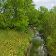 В статье представлен обзор проектов ревитализации малых рек в Европе. Названы программы, которые имели целью воссоздание природных территорий, их восстановление до...