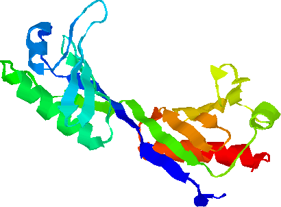 Пространственная структура ТАТА-связывающего белка