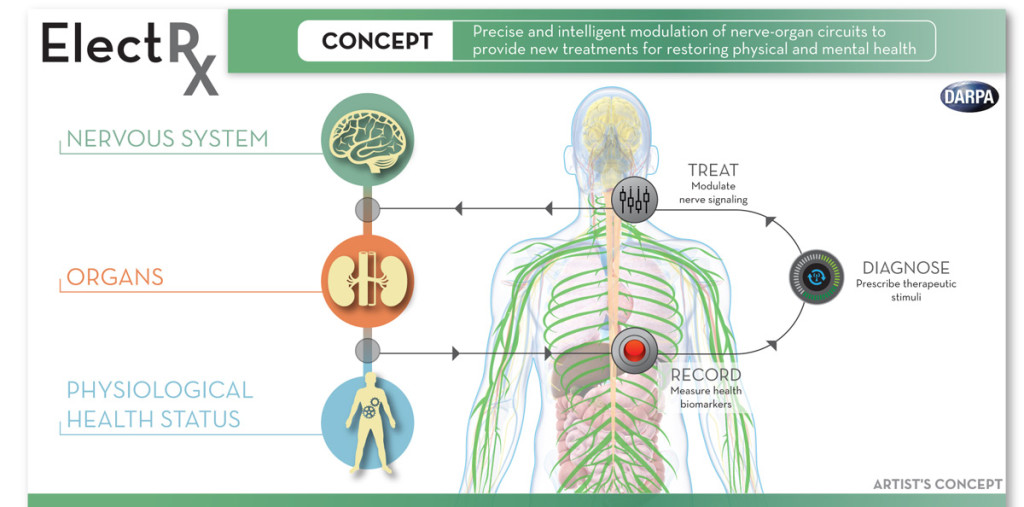 darpa-cuerpo