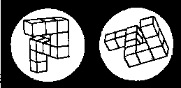 Пример пары фигур, которые используются для «психологической хронометрии». Это идентичные фигуры, но как бы повернутые на 80° одна относительно другой. (Shepard, Metzler, 1971.) 