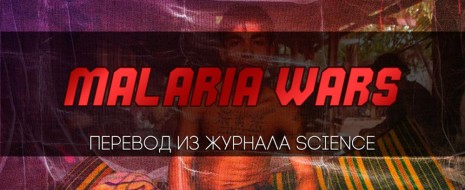 "Никто не знает точно, почему устойчивость к препаратам малярии всегда в первую очередь возникает именно в этой отдаленной западной провинции Камбоджи, расположенной в Кардамомских горах....