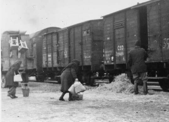 Венгры, выселяемые из Гуты (Коларово, Словакия) грузят свои пожитки в поезд. Февраль 1947 г.