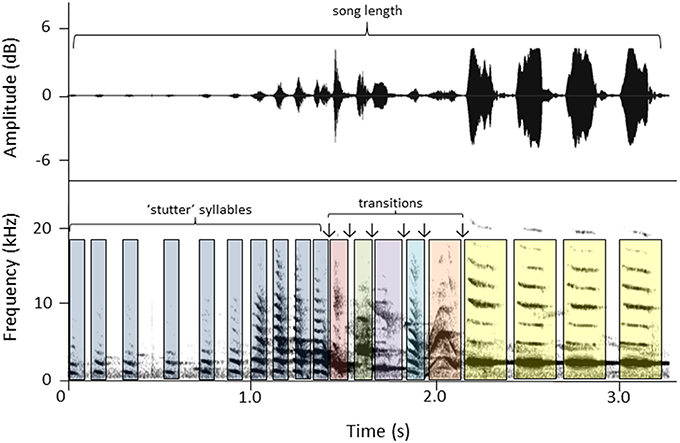 Сонаграмма самочьей песни новозеландской птицы-колокольчика. Источник