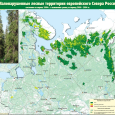 Рост потребления древесины в Финляндии и КНР сопрягается с ростом природоохранных усилий, почему местные леса защищаются всё лучше и лучше, а потребление древесины обеспечивается ростом...