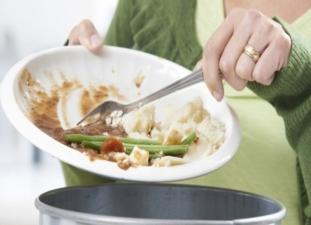 food_waste_plate=