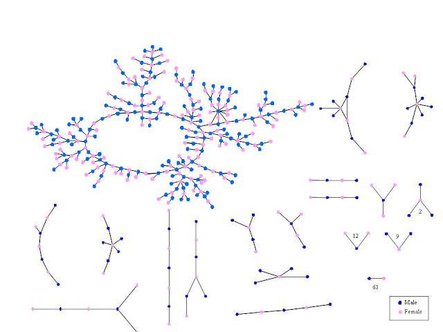 Сеть романтических и сексуальных контактов школьников из статьи Bearman et al (2004). Синим обозначены мужчины, розовым - женщины. Есть плотно связанный компонент (слева вверху) и более мелкие не связанные с другими структуры. Цифры обозначают количество таких микроструктур в выборке. 