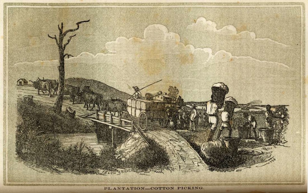 Труд рабов на хлопковой плантации (Юг США, 1861 год)