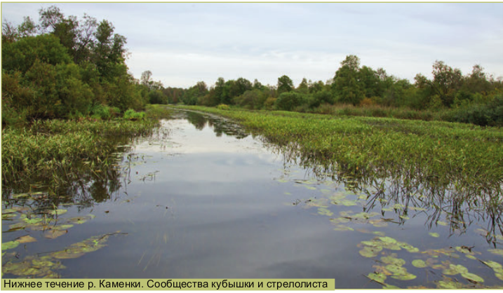 Заказник "Юнтоловский", водосбор Лахтинского разлива. Из: "Атлас ООПТ Санкт-Петербурга", с.22