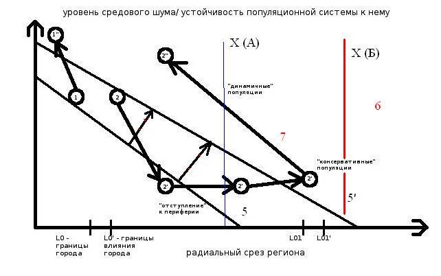 Рисунок 1. Прямая (1) и возвратная (2→2’→2“) урбанизации видов региональной авифауны (схема). Обозначения. Ось Х – радиальный срез региона: L0/0’ – граница города в последовательные моменты урбанизации (5 и 5’, стрелки с красной полоской), L01/01’ – то же, его зоны влияния в регионе, 2’ – период «отступления» вида на периферию региона под «прессом» трансформации ландшафта, вызванной урбанизацией территории, 2“ – «поворот», вызванный лабилизацией жизненной стратегии вида (и типов отношений внутри популяции) после L лет «отступления». 4 — устойчивость и/или численность популяции редкого вида по завершению возвратной урбанизации. 5 и 5‘ — градиент региональной урбанизации в последовательные моменты времени, за которое её степень вырастет, а уязвимый вид – отступит к периферии. Этот «городской градиент» формирует закономерные изменения «архипелага» местообитаний и, соответственно, степени средового стресса (environmental stress) для особей на «островах» и неустойчивости — для метапопуляции вида. 6 — малонарушенная периферия региона, где существование вида устойчиво. 7. Момент превращения «консервативной» популяции в «динамичную», отличающуюся «проточной» структурой группировок и другими особенностями социальной и популяционной организации (Фридман, Еремкин, 2009, табл. 3). Х – оптимальный уровень средового стресса (ее проекция на ось Х – «точка старта» возвратной урбанизации) для обычных (А) и исчезающих (Б) видов. Примечание. Жизнеспособность популяций 1’, 2’, 2” требует устойчивости их пространственно-этологической структуры большей, чем уровень средового стресса (оба параметра отложены по одной ос У).