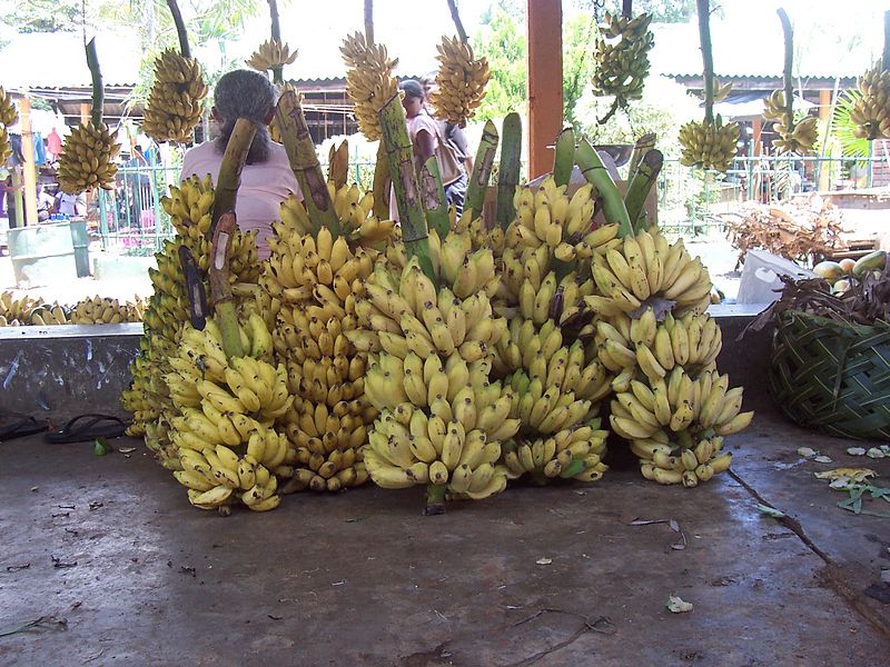 Овощные бананы (плантены)
