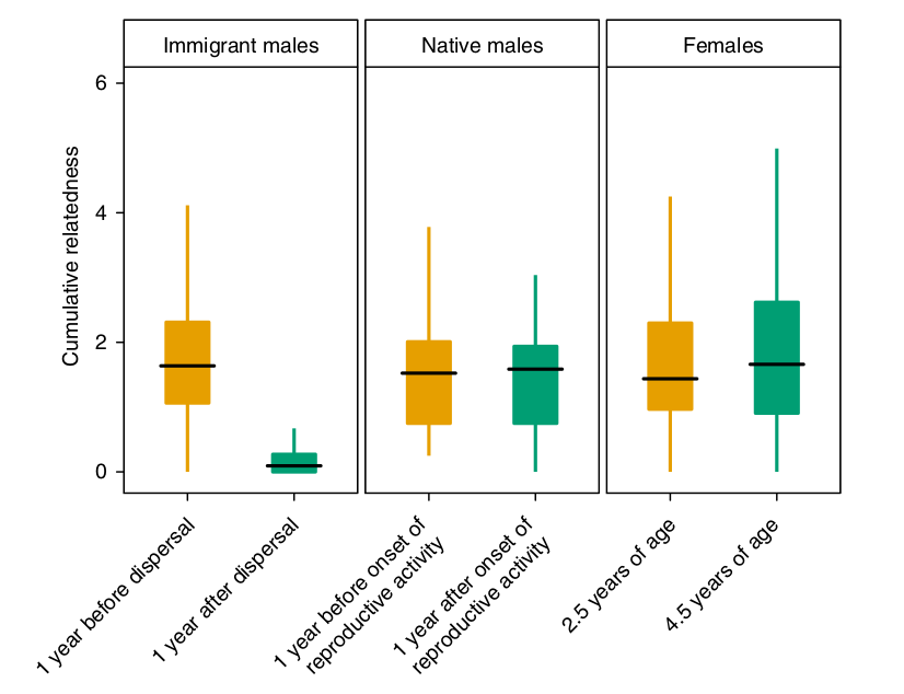 The effect of dispersal and age on the cumulative relatedness of spotted hyaenas. Cumulative relatedness is the sum of relatedness coefficients between an individual and all other clan members calculated through the maternal lineage. For immigrant males (n = 222), cumulative relatedness was calculated 1 year before and after dispersal; for native males (n = 33), 1 year before and after the onset of reproductive activity; and for females (n = 372), 1 year before and after the mean male dispersal age of 3.5 years 21 . The boxes indicate the interquartile range around the median (horizontal bar) and the vertical bars represent the cumulative relatedness values that lie within 1.5 times the interquartile range.