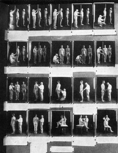 Демонстрация антропометрии в рамках выставки по евгенике, 1921-й год, США. Здесь и далее источник diletant.media