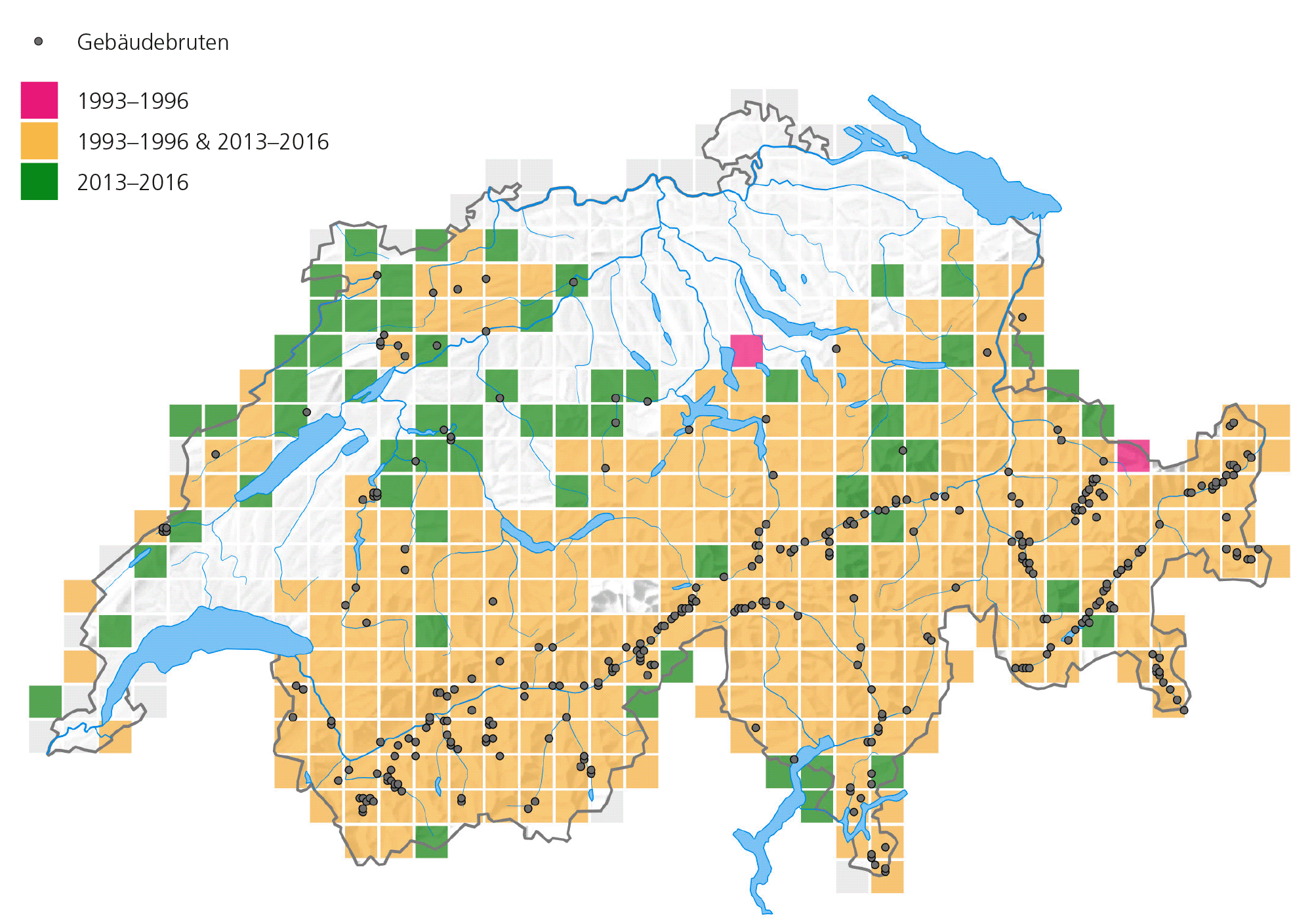 Чёрные точки – места, где скалистые ласточки стали гнездиться на зданиях, малиновый – в 1993-1996 гг., оранжевый – 1993-96 &2013-2016 гг., зелёный – 2013-2016 гг. Больше всего таких случаев в основном ареале вида в альпийском регионе, вне его это случается гораздо реже. Источник vogelwarte.ch