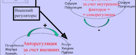 В биомедицинской науке последствия стресса в раннем онтогенезе в большинстве случаев рассматриваются как негативные для организма, вызывающие нарушения развития репродуктивных функций, иммунной, нейроэндокринной систем, мозга и поведения, включая когнитивные способности и устойчивые расстройства психики. На этом фоне набирают силу...