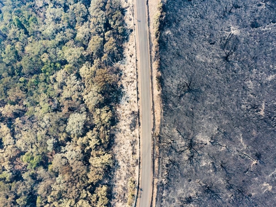 Долина Кенгуру в 160 км от Сиднея, январь 2020. Фото: Byron Ross / Greenpeace