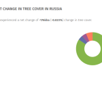 Нерусский лес. Почему не оправдались надежды на заботу бизнеса о лесе