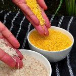 Беда с «золотым рисом»