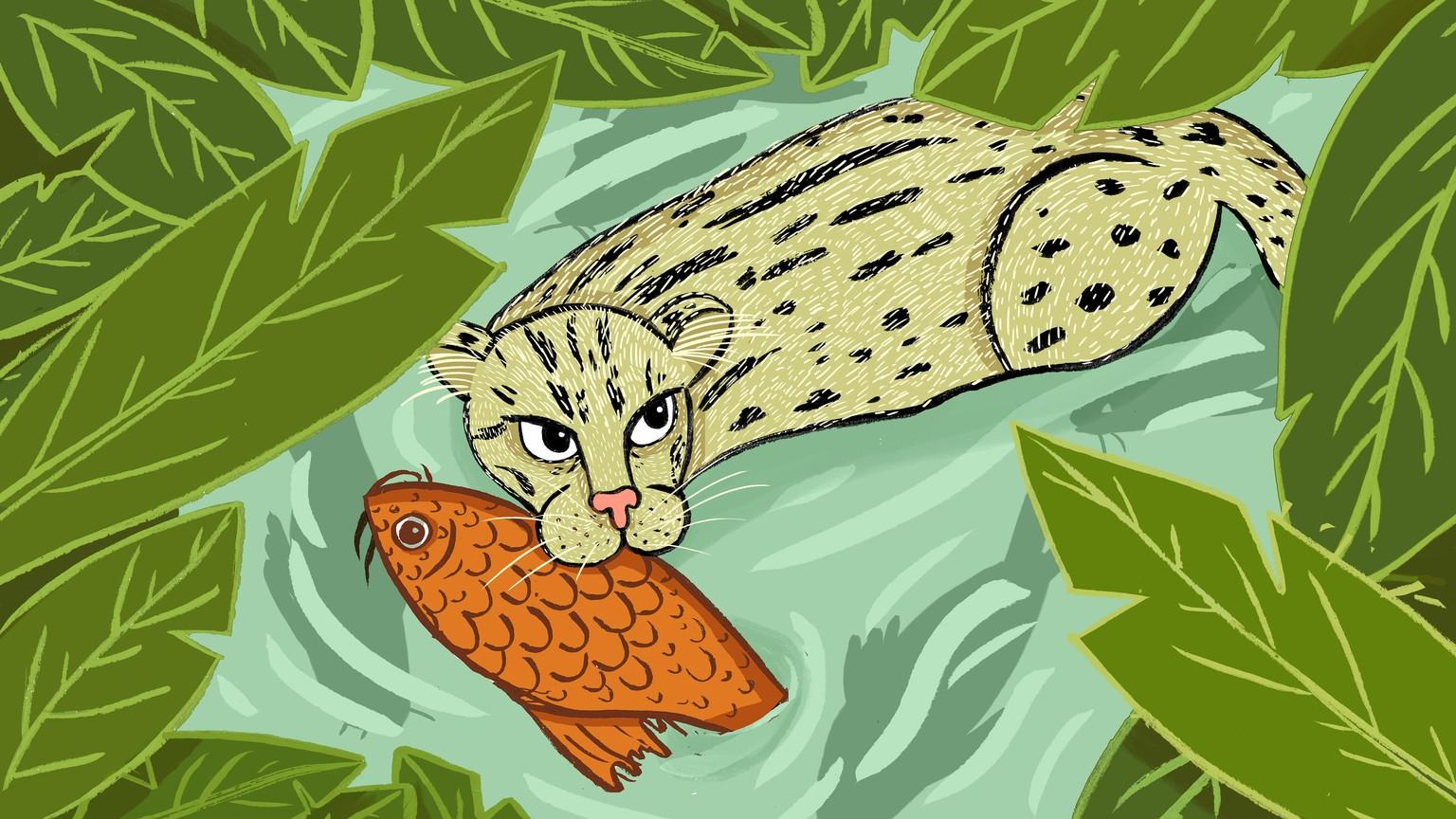 Умнеют ли звери, осваивая города? Загадочная дикая кошка на Шри-Ланке может таить подсказку. [Эссе журналиста The Atlantic. Как принято в "свободных СМИ" автор рассказывает историю, занимательную (редкий вид, кот-рыболов, обживается в экзотическом города), но мало имеющую отношение к ответу на вопрос способствует освоение городов развитию мозга или нет? Я авторский текст оставил как есть, из песни слова не...