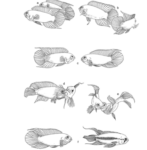 Снимок экрана от 2025-11-18 20-14-37