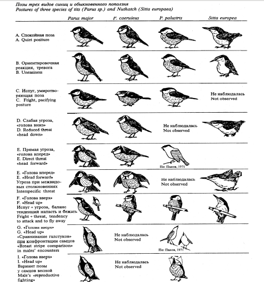 Снимок экрана от 2025-12-01 19-13-23